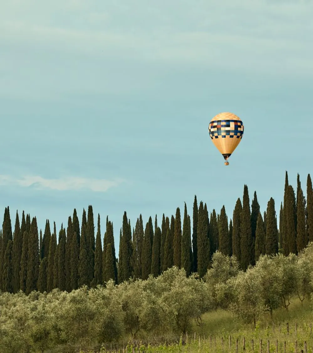 A hot air balloon rising over cypress trees and olive groves